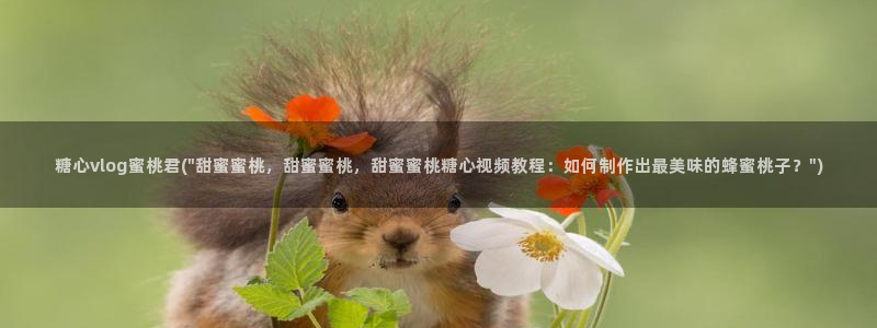 糖心vlog公司:糖心vlog蜜桃君(\