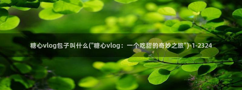 糖心vlog新入口:糖心vlog包子叫什